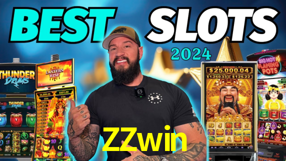 Premium Interface ZZwin